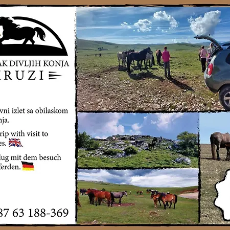 Baljak アパート リヴノ