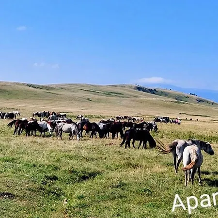 アパート Baljak *